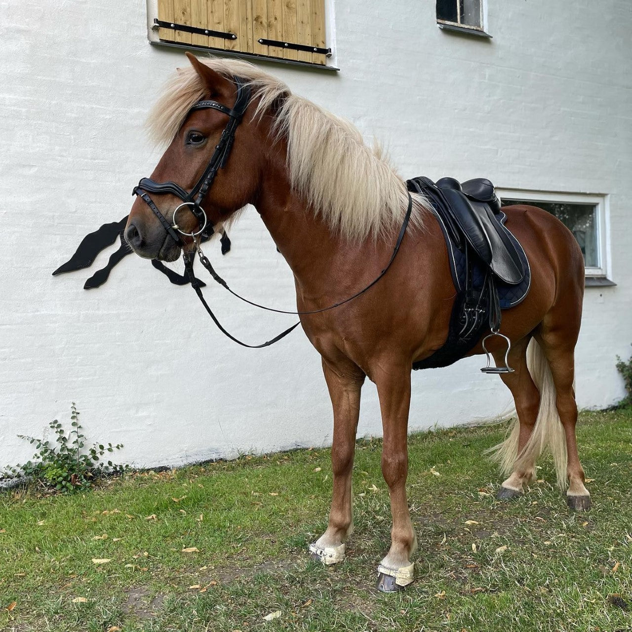 Velkommen til vores WEBSHOP! – Kjeldalgaard